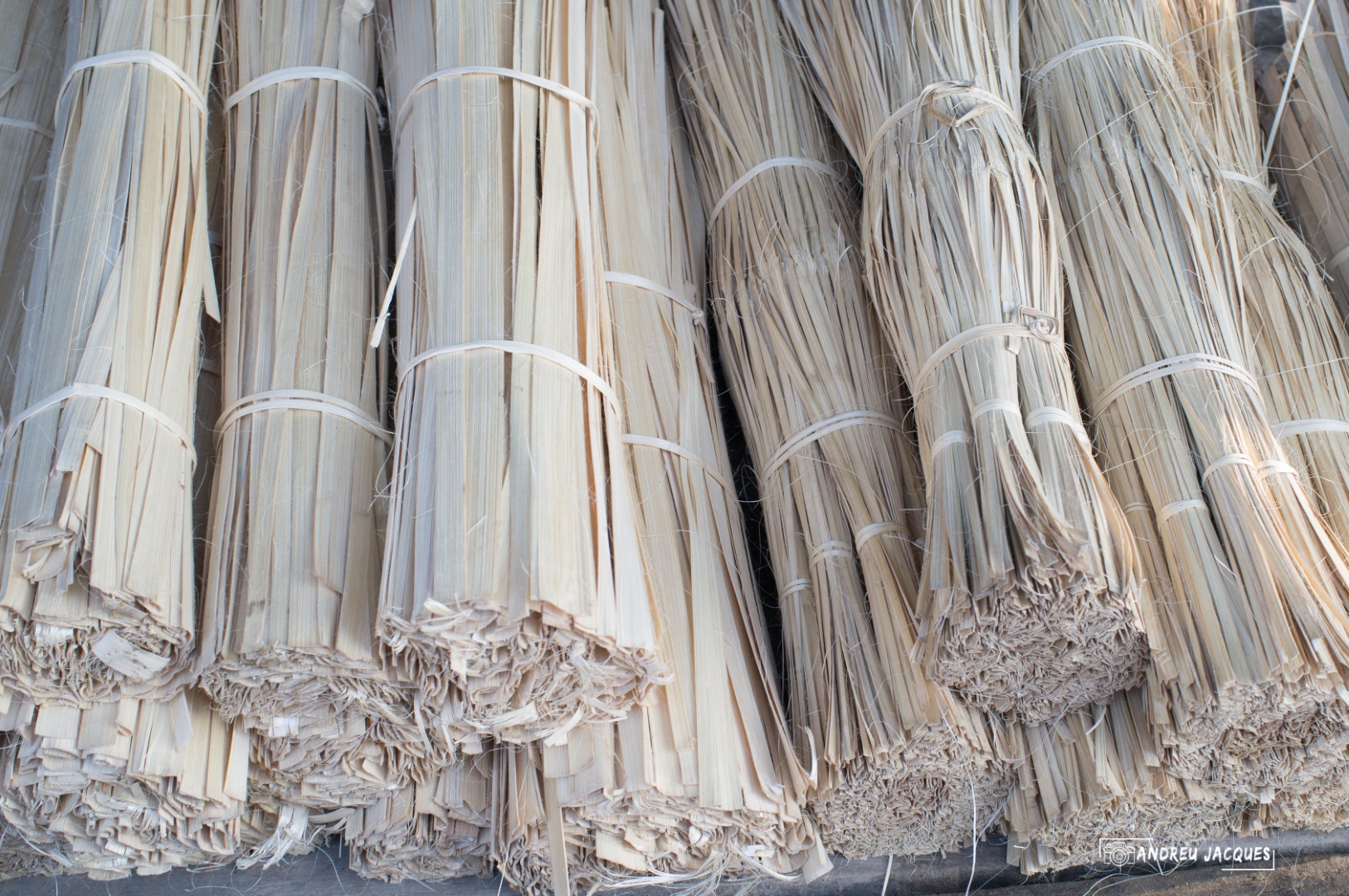 birmanie-143 (Grand).jpg